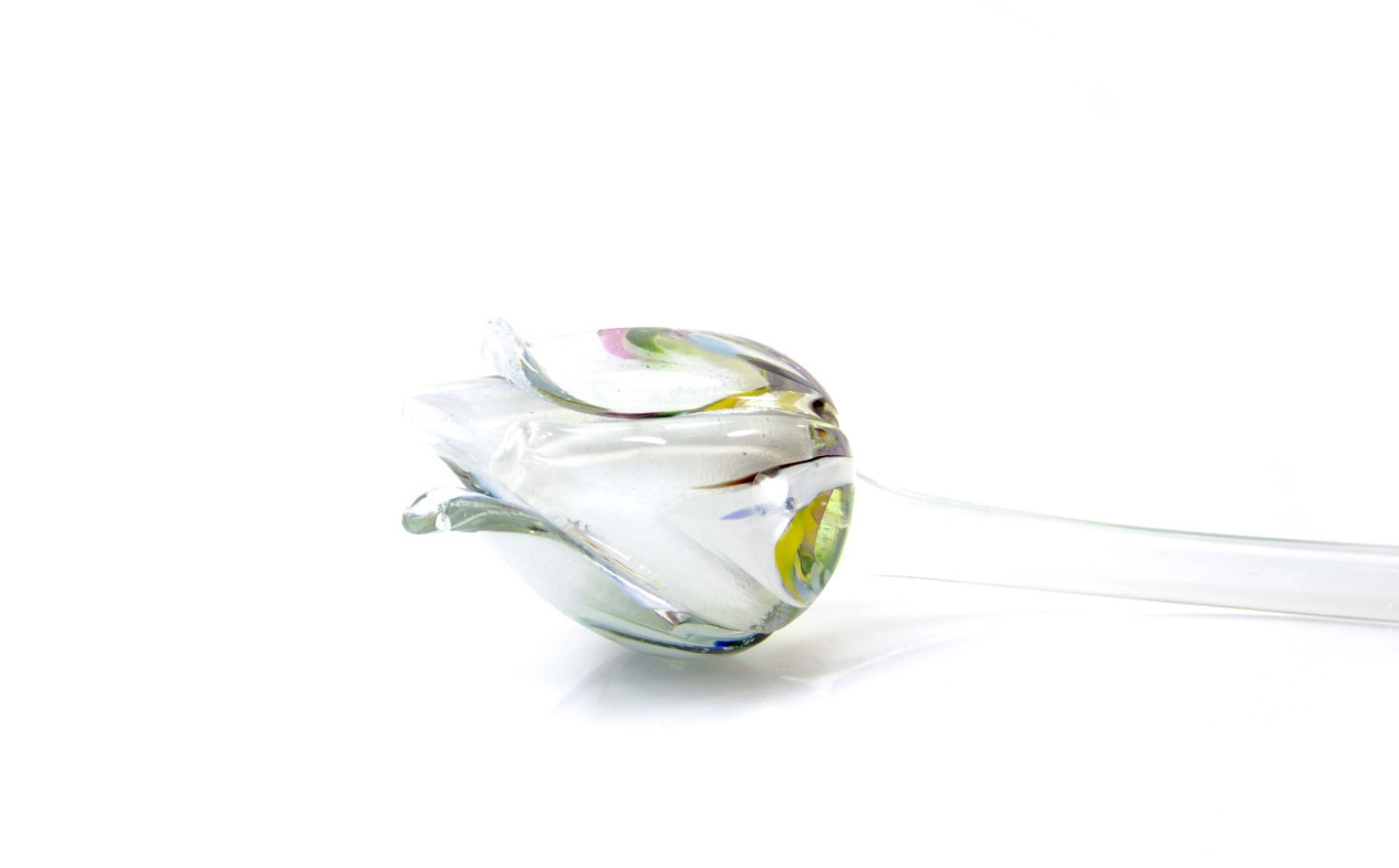 Loranto + Tulp, multicolor-wit